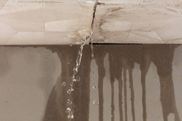 Professional Flood Damage Cleanup technician working in Shorewood, IL